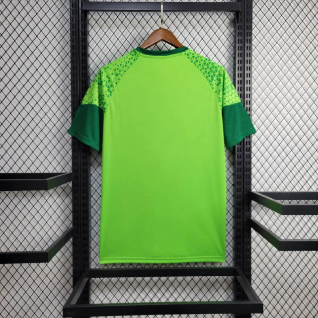 Camisa Palmeiras Treino 24/25 Torcedor Masculina